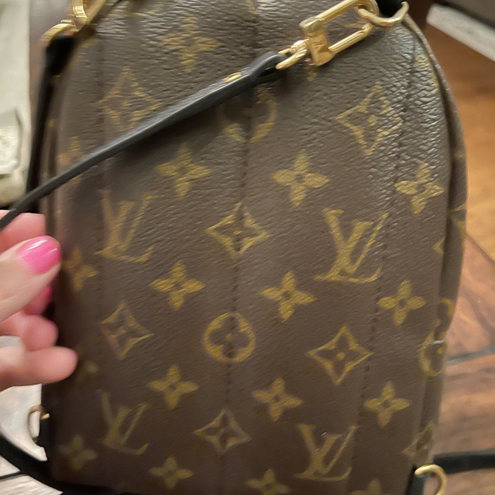 Louis Vuitton Palm Springs Mini - Picture 2 of 6